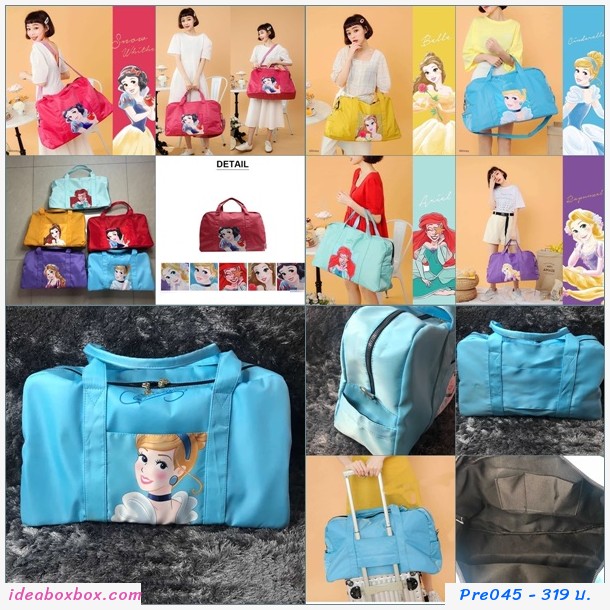 Pre ˭ԧ Travel Carry Bag  Ariel 