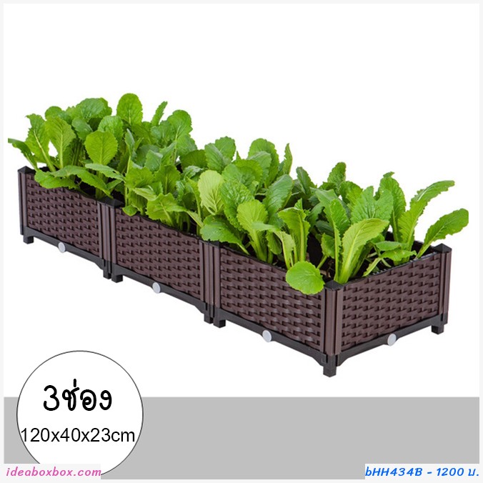кл١ѡ Balcony vegetable planting box(3ͧ)