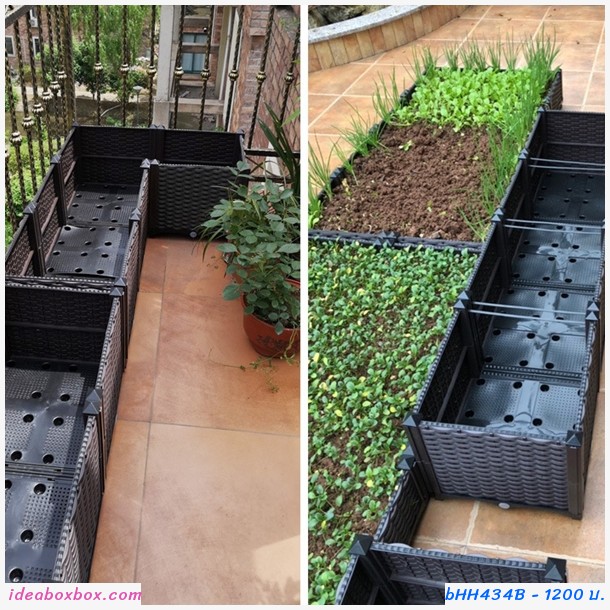 кл١ѡ Balcony vegetable planting box(3ͧ)