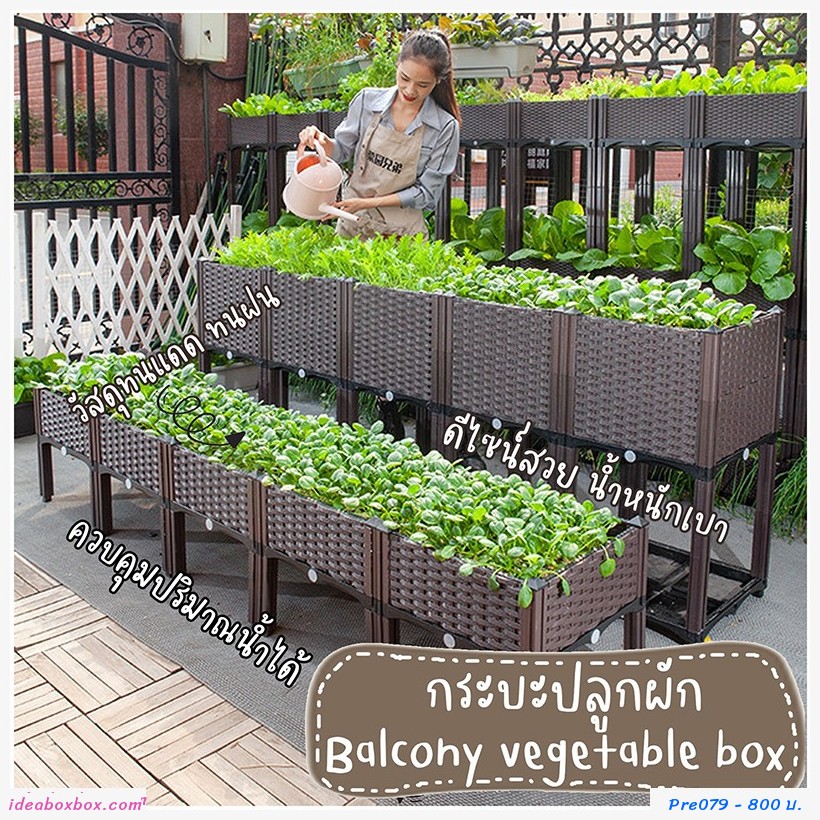 кл١ѡ Balcony vegetable box(2ͧ)