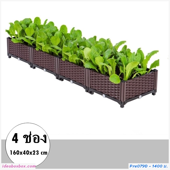 кл١ѡ Balcony vegetable box(4ͧ)