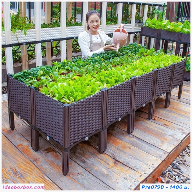 кл١ѡ Balcony vegetable box(4ͧ)