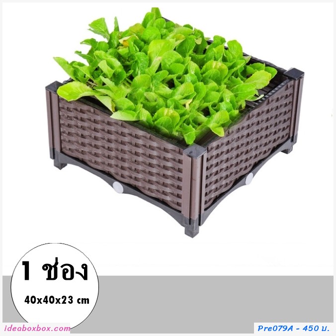 кл١ѡ Balcony vegetable box(1 ͧ)