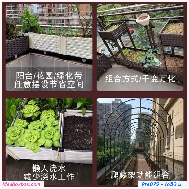 кл١ѡ Balcony vegetable box(4 ͧբ)