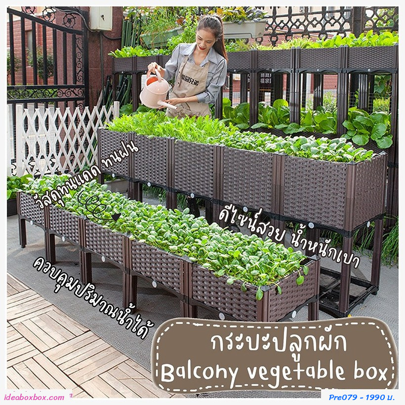кл١ѡ Balcony vegetable box(5 ͧբ)