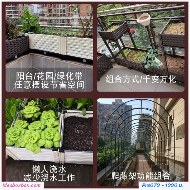 кл١ѡ Balcony vegetable box(5 ͧբ)