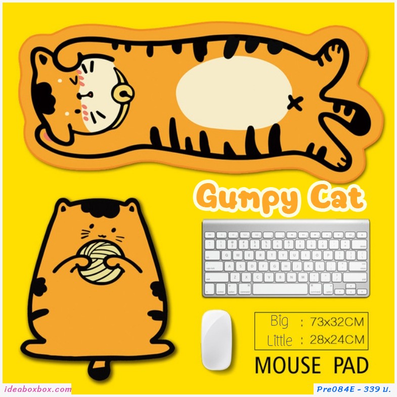 Pre ͧ ͧ Gumpy Cat( 2 )