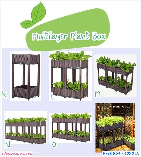 кл١ѡ vegetable box Multi Layer(1+1)