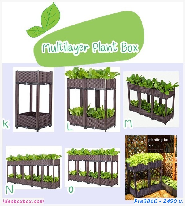 кл١ѡ vegetable box Multi Layer(3+3)