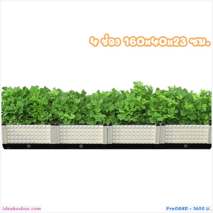 кл١ѡ Balcony vegetable box բ(4 ͧ)