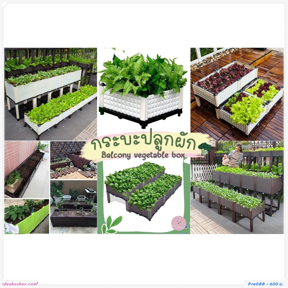 кл١ѡ Balcony vegetable box բ(1 ͧբ 15 .)