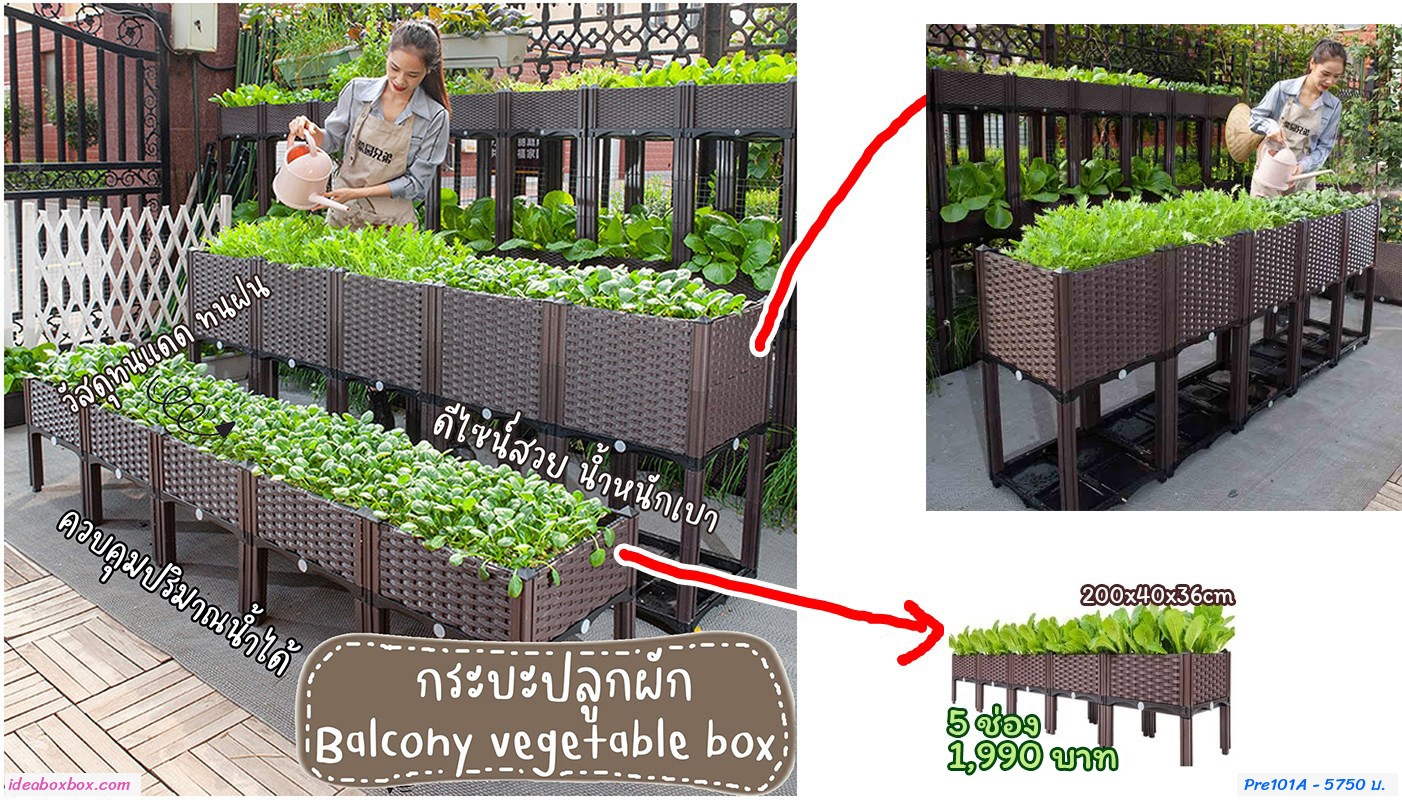 кл١ѡ Balcony vegetable box úش 10 ͧ