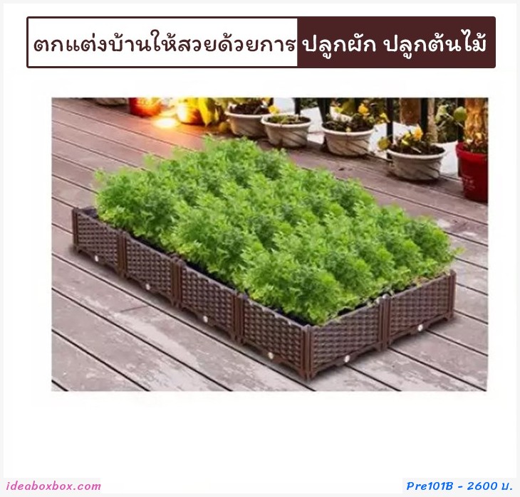 кл١ѡ Balcony vegetable box ૵ 8 ͧ˭