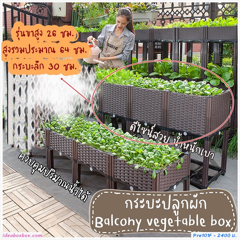 кл١ѡ Balcony vegetable box 3 ͧբ 30  ҹ