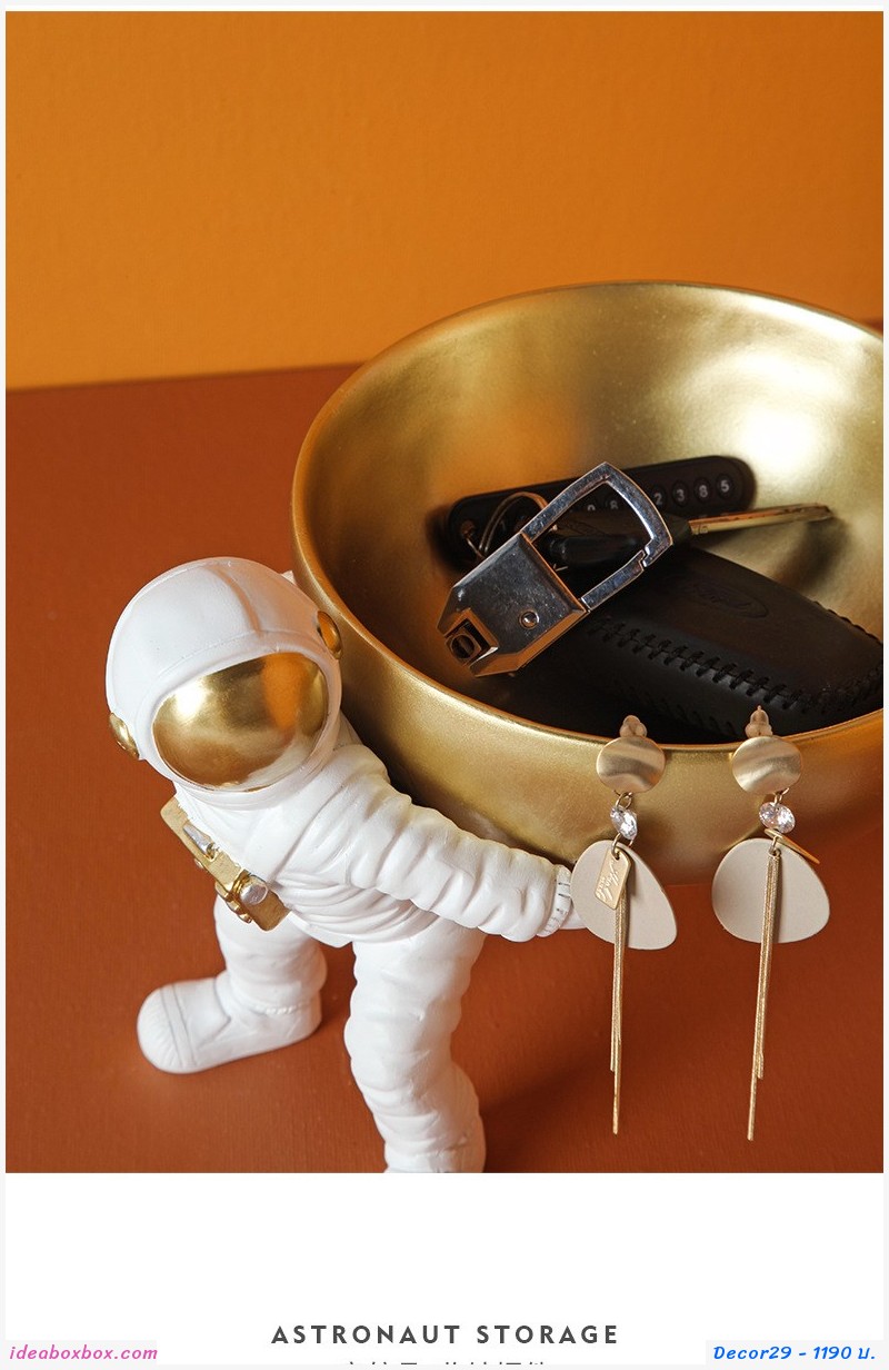 ҧͧ 觺ҹ ѡԹǡ ạͧ Astronaut Storage