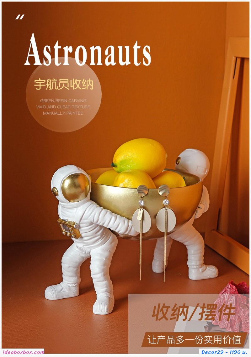 ҧͧ 觺ҹ ѡԹǡ ạͧ Astronaut Storage