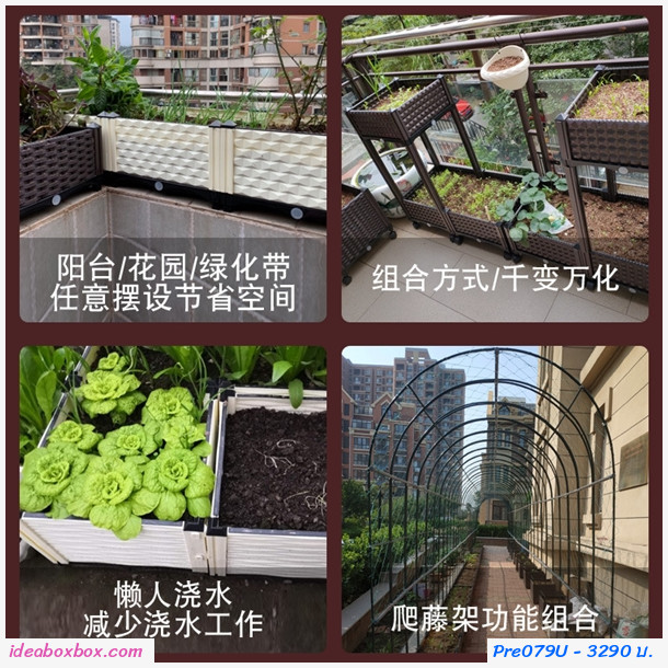 кл١ѡ Balcony vegetable box (3 ͧ բ 30  բ)
